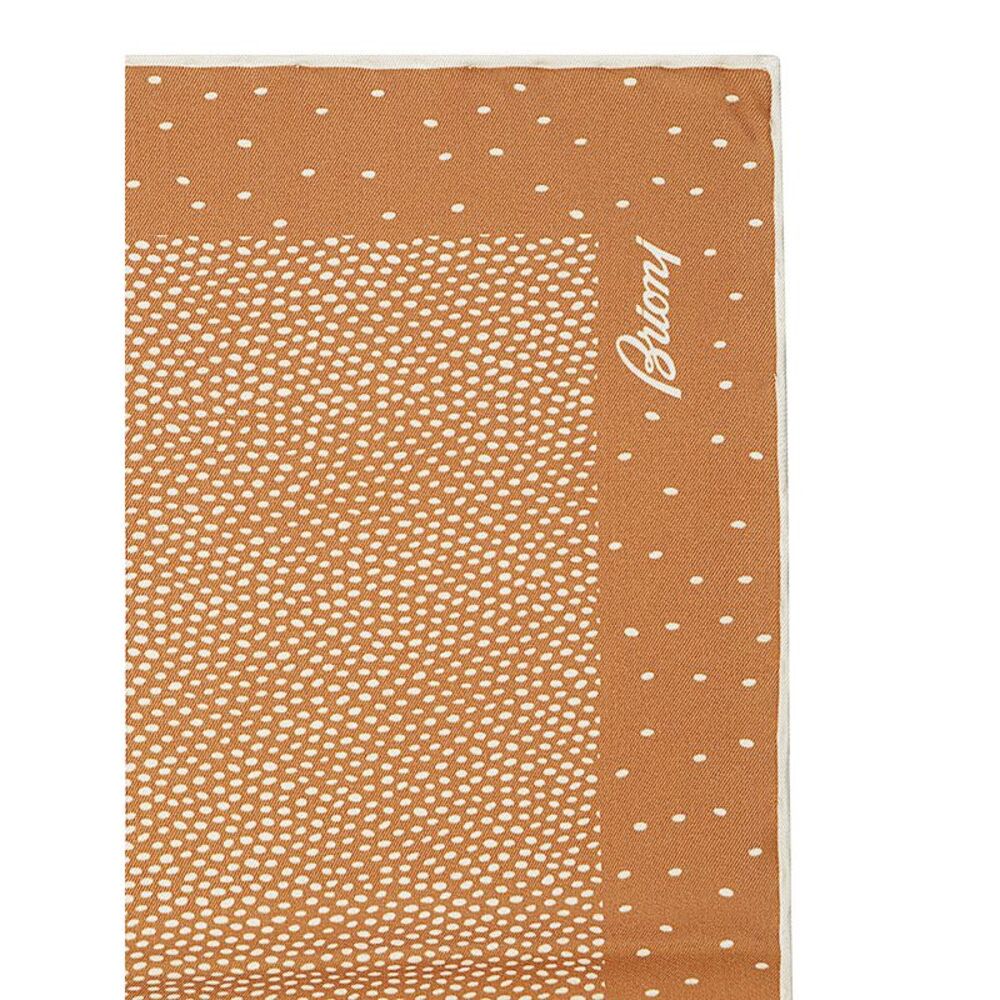 Brioni Men Scarves